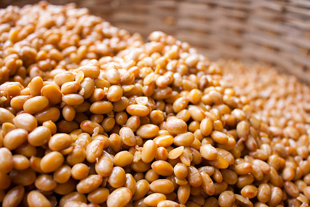 istock Basket of soy beans 544566156