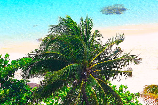 istock Tropical paradise sunrise: bright Sunny Sandy caribbean palm trees beach 544566530