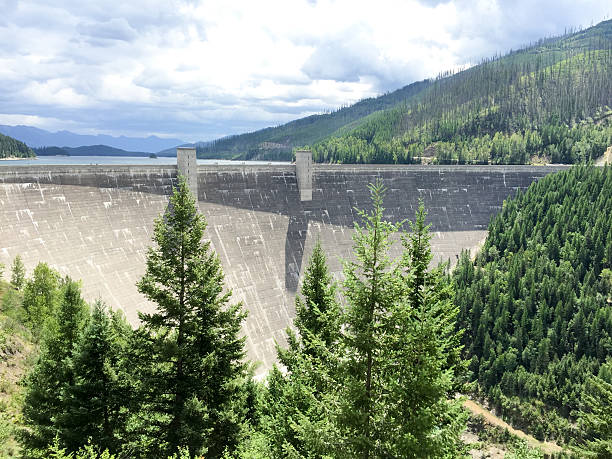 istock Hungry horse dam 544566872