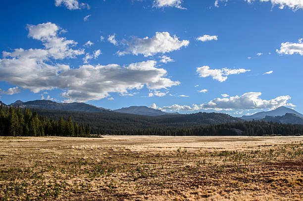 istock Tuolumne Meadows Yosemite National Park 544567908