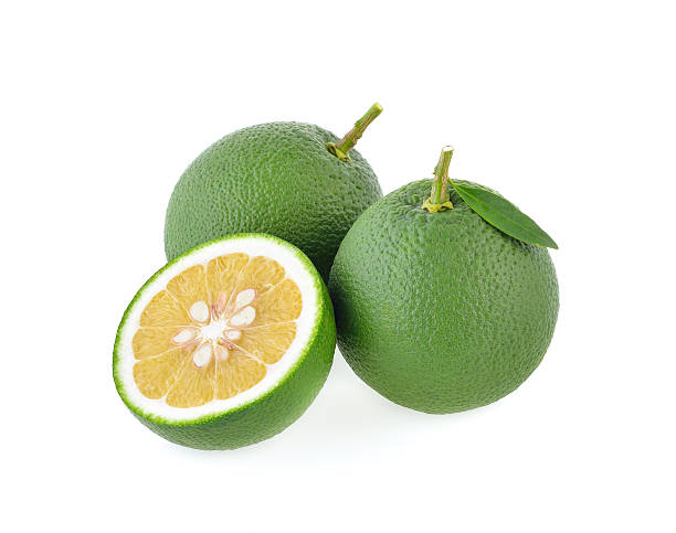 istock Citrus sinensis isolated on the white background. 544570378
