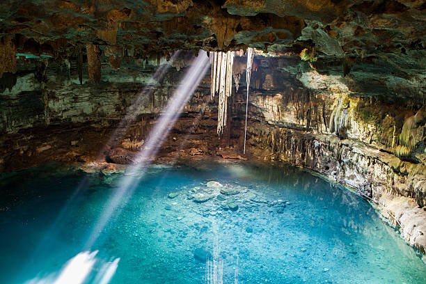 Mexoco Sambula Cenote Sambula cenote is a beautiful underground cavern that will surprise you with its natural beauty and the breadth of the place. Its crystal clear turquoise blue are illuminated through a hole in the top of the cave where you can admire as the hanging roots of a tree has been cut into the surface but that is still alive because it follows the water feeding, admired the fish that live in and see clearly where their bottoms and deep here you can safely enjoy this cool and underground cenote. yucatan stock pictures, royalty-free photos & images