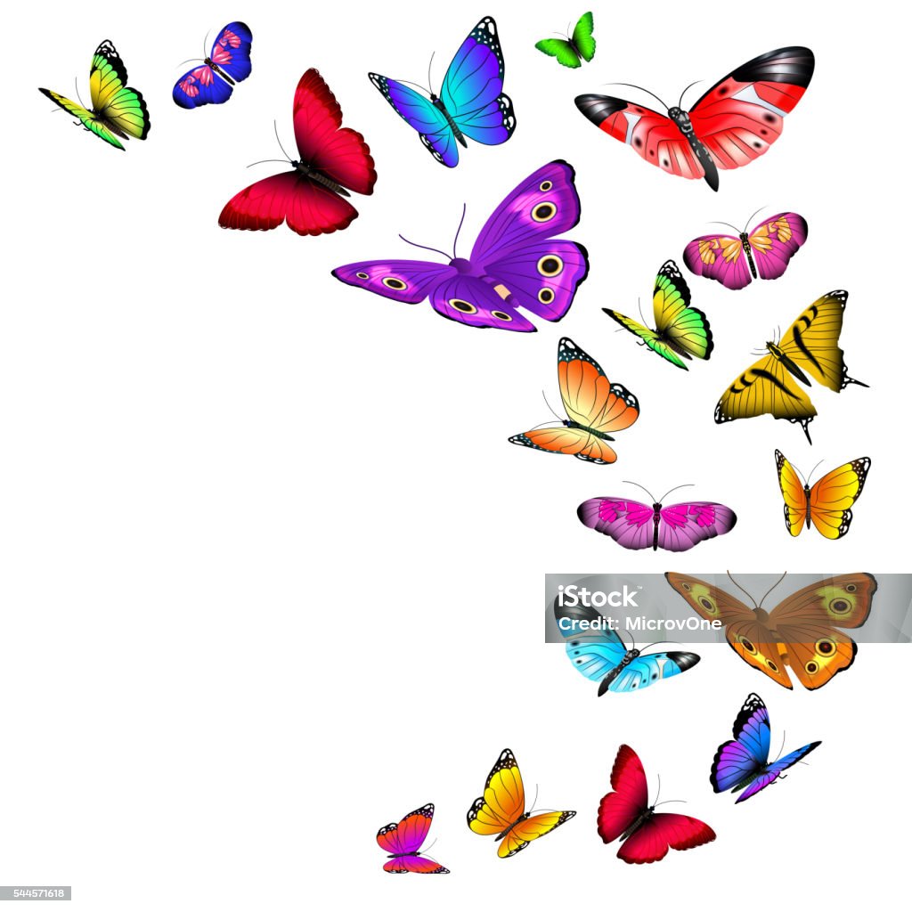 Vector background with flying butterflies Vector background with flying butterflies. Flow wild butterflies and illustration summer butterfly with color wing Butterfly - Insect stock vector