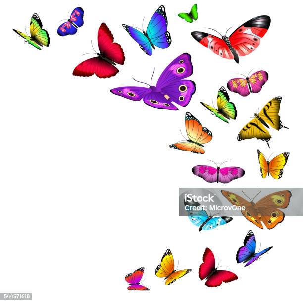 Vector Background With Flying Butterflies Stock Illustration - Download Image Now - Butterfly - Insect, Multi Colored, Flying