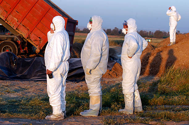 Bird Flu Outbreak Western Negev, Israel - March 18, 2006: Agriculture Ministry are burying the carcasses of dead turkeys at Kibbutz En Hashlosha in the western Negev on Saturday March 18, 2006. avian flu virus photos stock pictures, royalty-free photos & images