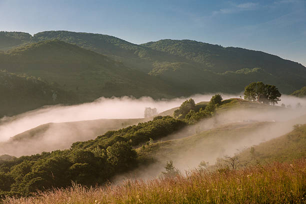 Paysage brumeux - Photo