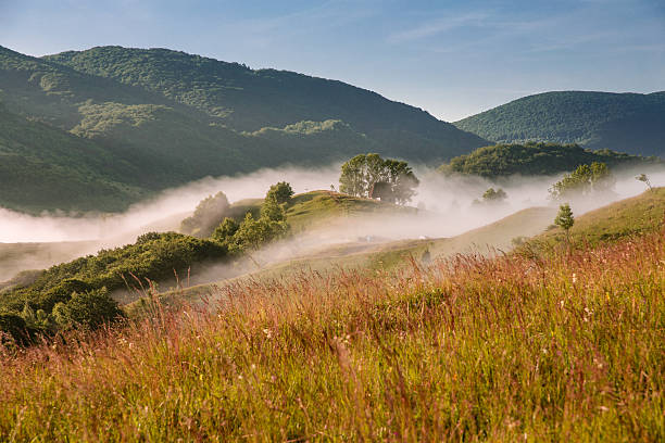 Paysage brumeux - Photo