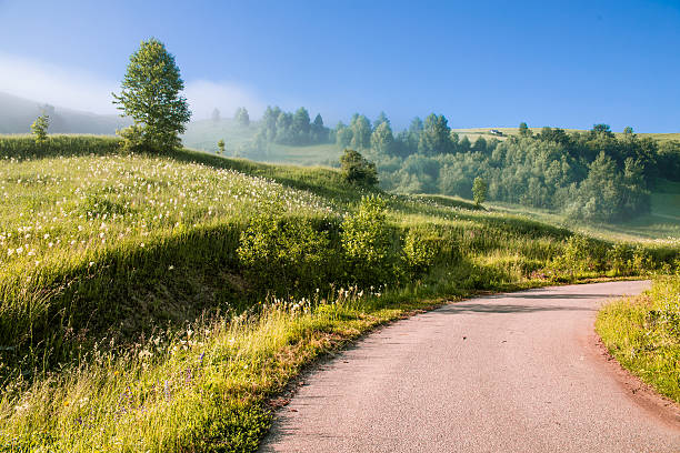 Misty paesaggio - foto stock