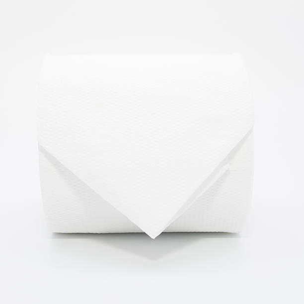 istock Simple toilet paper on white background 544576730