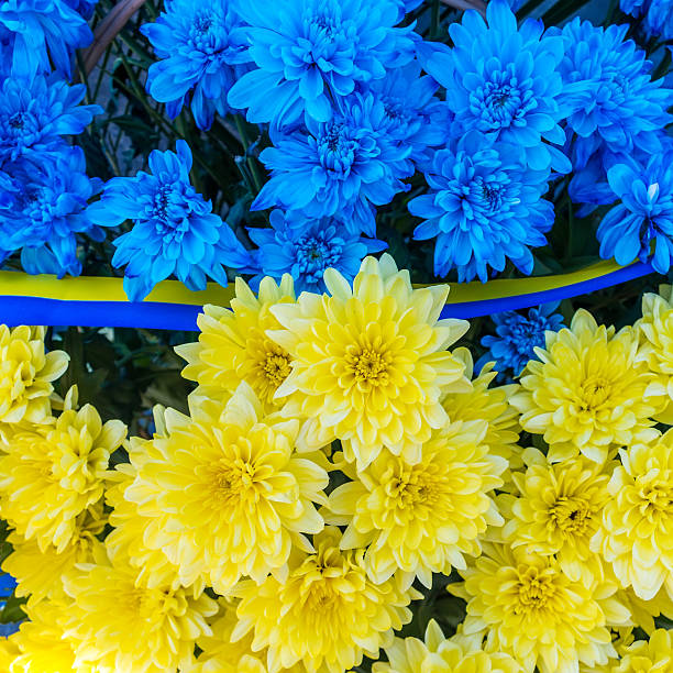 istock Blue and yellow stripes with colored flowers as Ukraine flag 544580148