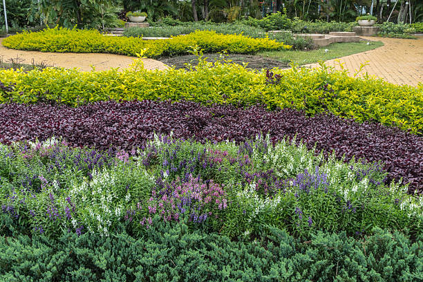 istock Part of garden 544580298
