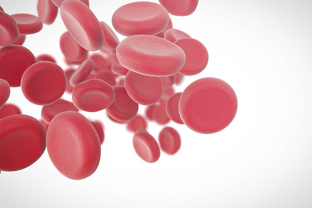istock Red blood cells with depth of field isolated on white 544581168
