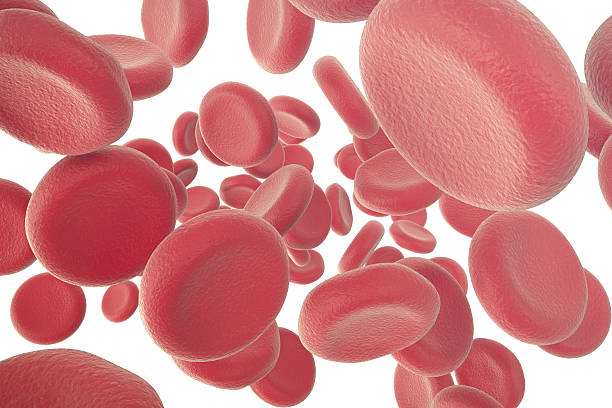 istock Red blood cells isolated on white. 3d illustration 544581210