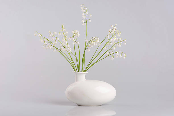 istock Vase with lilies of the valley isolated on white 544581584