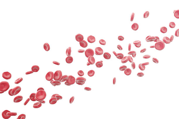 illustration of red blood cells isolated on white background. 3d illustration of red blood cells isolated on white background human blood stock pictures, royalty-free photos & images