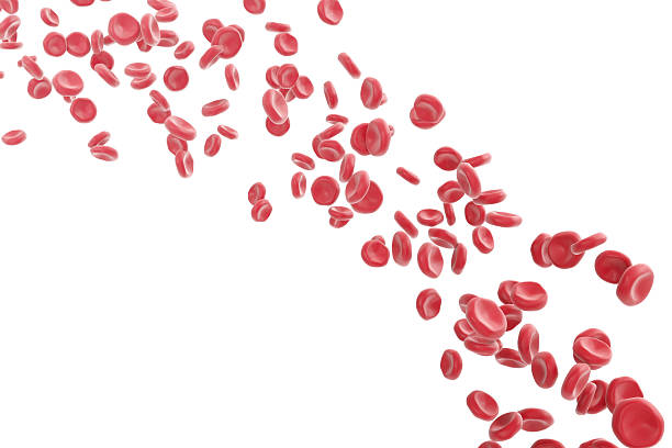 istock Red blood cells isolated on white. 3d illustration high quality 544581866