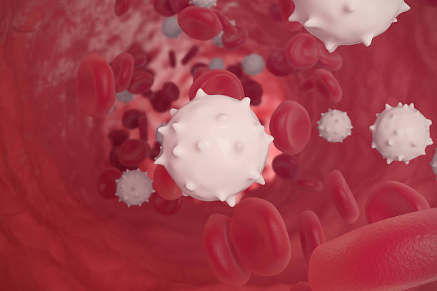 istock Red and white blood cells in cut flowing through veins 544582354