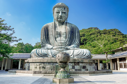 Kamakura, Japan - July 31, 2015: Daibutsu. The Great Buddha of Kotokuin Temple in Kamakura. View of the Great Buddha bronze statue at Kotoku-in temple in Kamakura against a clear blue sky, The second largest bronze Buddha statue in Japan.