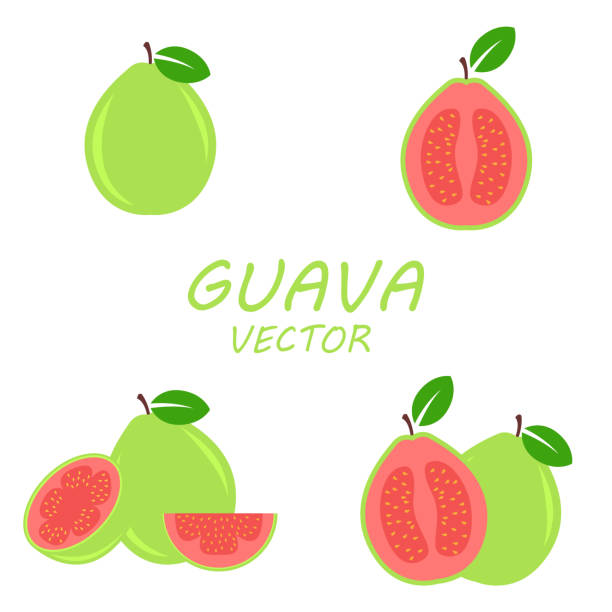 vektor-flache icons set guave - guave stock-grafiken, -clipart, -cartoons und -symbole