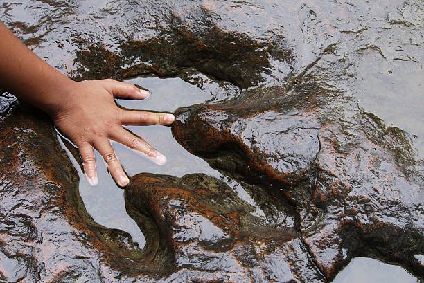 hand und dinosaurier fußabdruck. - dinosaur national monument stock-fotos und bilder