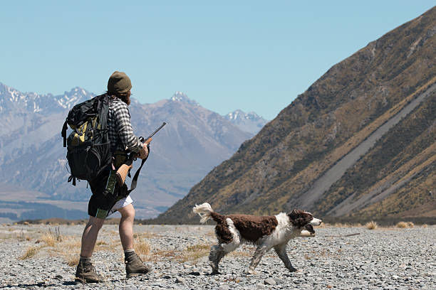 Hunter Young hunter and his dog, Canterbury, New Zealand high country stock pictures, royalty-free photos & images