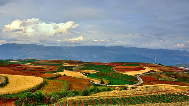 istock Magnificent Red land in China's Yunnan 001 544588212