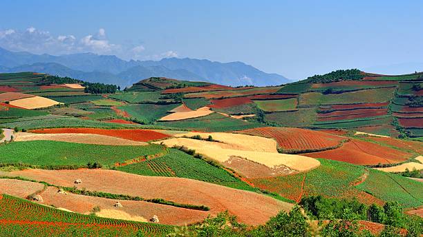 istock Magnificent Red land in China's Yunnan 013 544594176