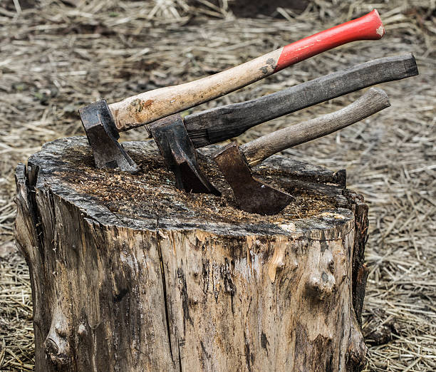 istock old axe stuck in a stump, on  background of straw 544594202