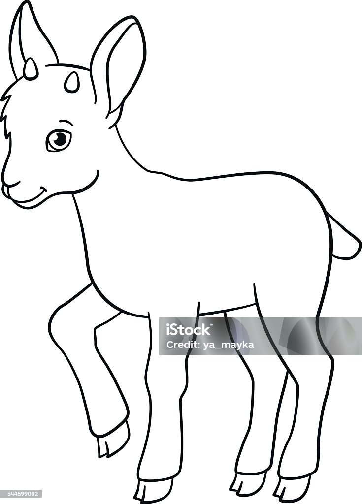 Coloring pages. Little cute baby ibex smiles. Coloring pages. Little cute baby ibex stands and smiles. Coloring stock vector