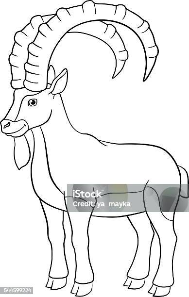 Coloring Pages Cute Ibex With Great Horns Stock Illustration - Download Image Now - Horned, Ibex, Animal