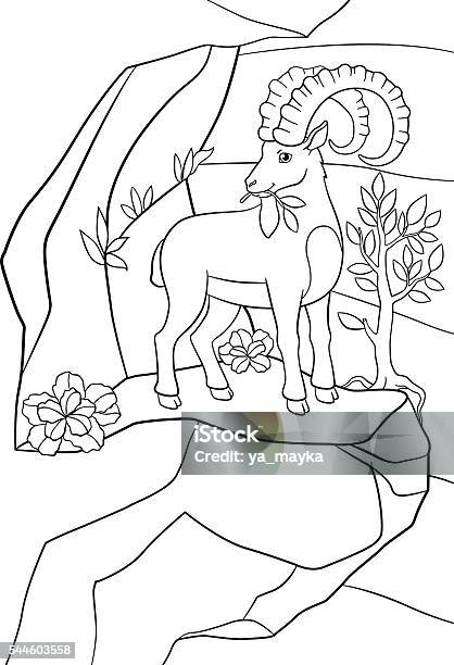 Coloring Pages Cute Ibex With Great Horns Stock Illustration - Download Image Now - Animal, Animal Wildlife, Animals In The Wild
