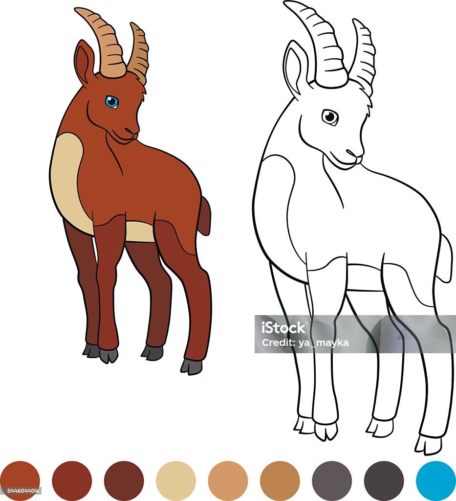 Color me: ibex. Little cute ibex. Color me: ibex. Little cute ibex smiles. Animal stock vector