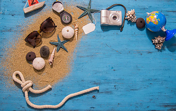 istock Sea urchins and starfish in a sand 544604864