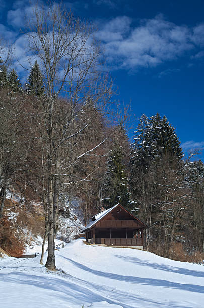 istock Rustic wooden house with snow 544651376