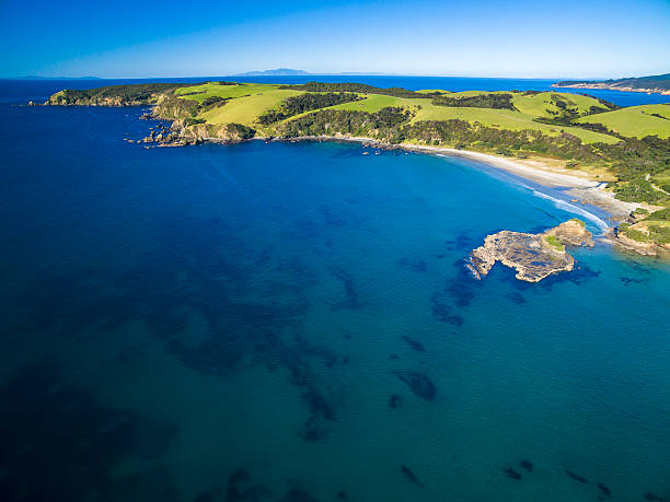istock Tawharanui Regional Park 544652852