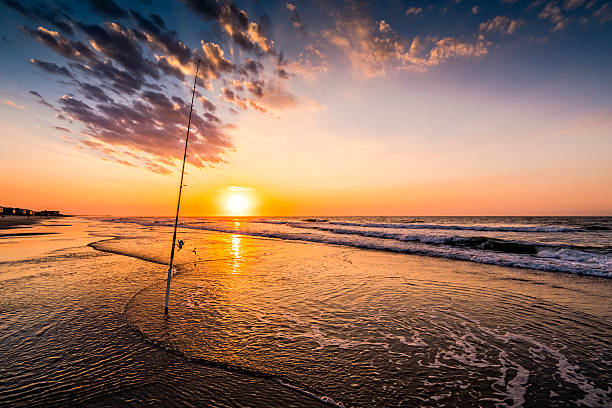 Ocean fishing at sunrise or sunset Surf  fishing at dawn sea fishing stock pictures, royalty-free photos & images