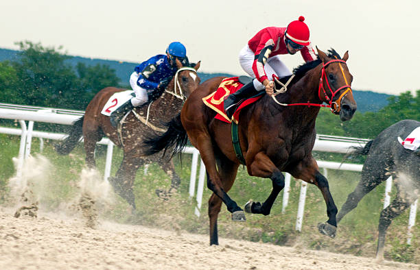 Horse racing Horse race for the traditional prize Anilina in Pyatigorsk,the largest in Russia. caucasus photos stock pictures, royalty-free photos & images