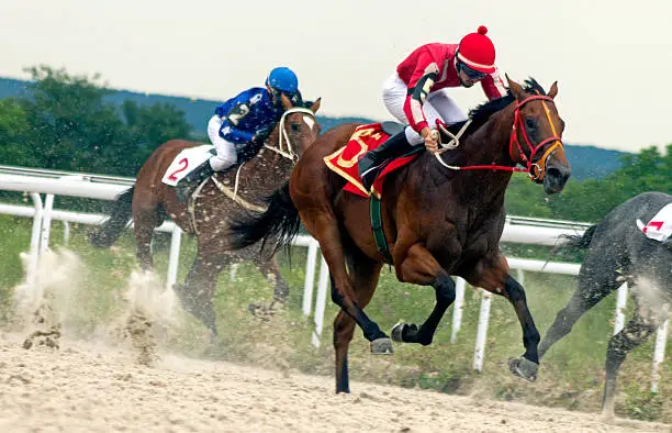 Horse race for the traditional prize Anilina in Pyatigorsk,the largest in Russia.