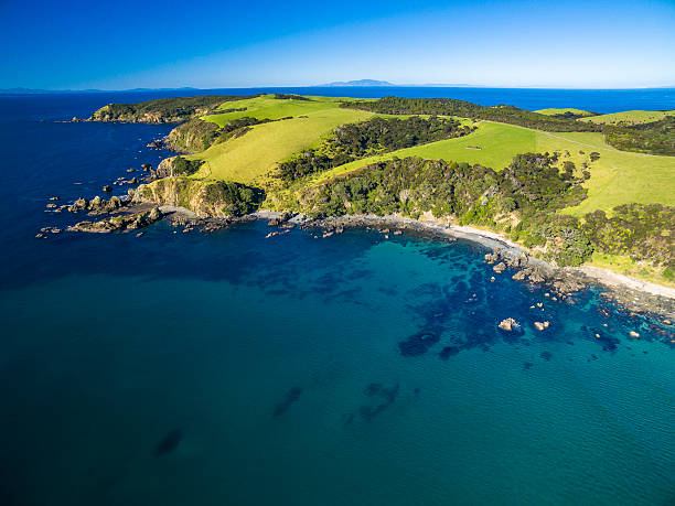 istock Tawharanui Regional Park 544653932