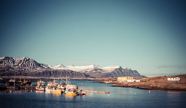 istock Iceland mountains with houses 544654236