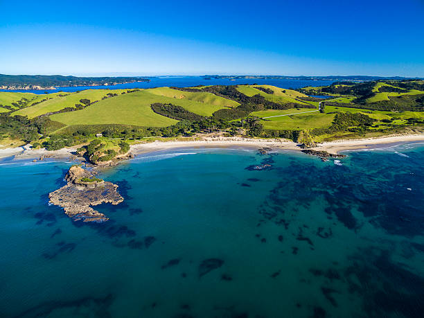 istock Tawharanui Regional Park 544654256