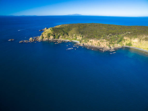 istock Tawharanui Regional Park 544654904