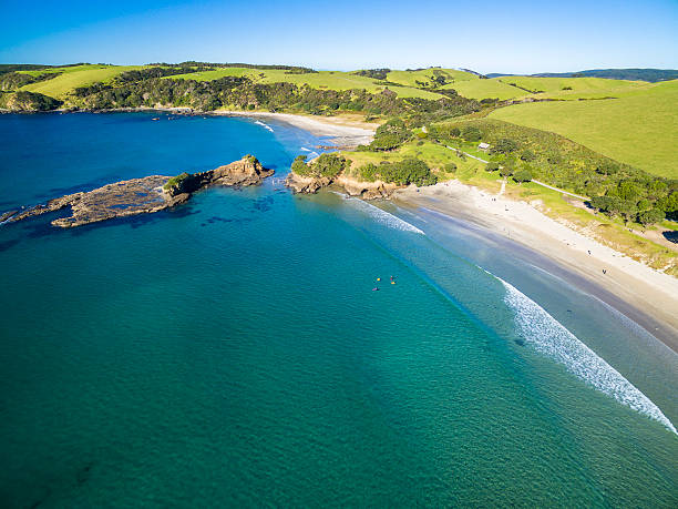 istock Tawharanui Regional Park 544655636