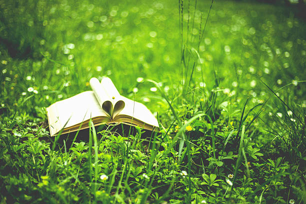 istock Close up heart shape from paper book on grass field 544656448