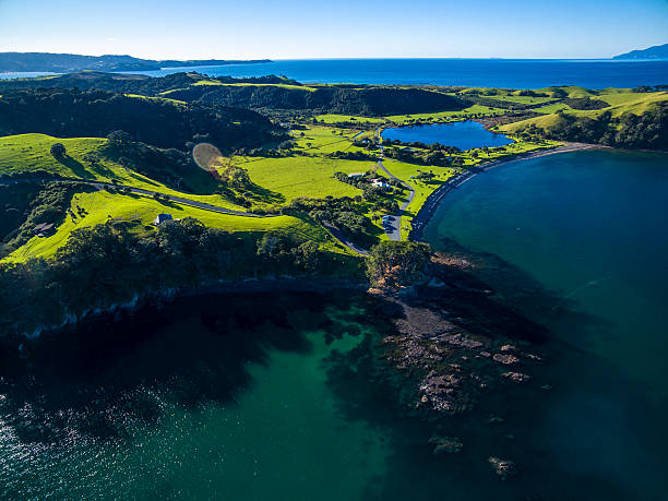 istock Tawharanui Regional Park 544657316