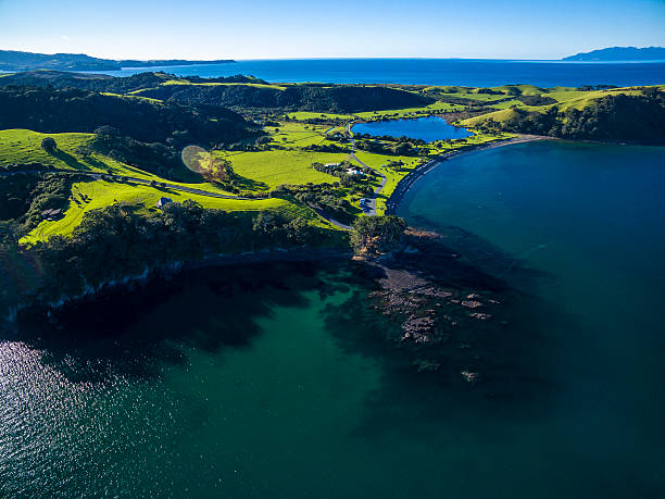 istock Tawharanui Regional Park 544657464
