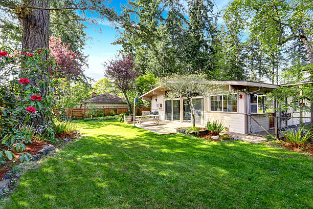 istock Summer back yard with small american house 544658814