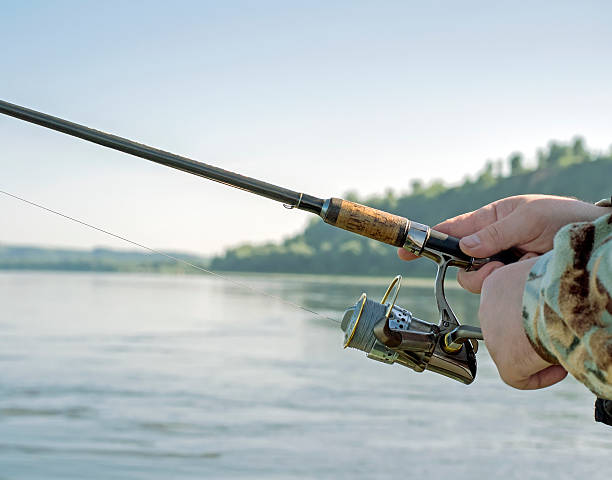 istock Fisherman catches a fish on spinning 544662796
