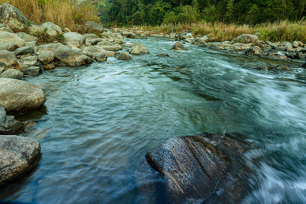 istock Reshi River water flowing on rocks at dawn, Sikkim, India 544664132