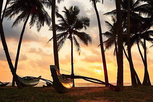 istock Fishing boats on the beach 544667036